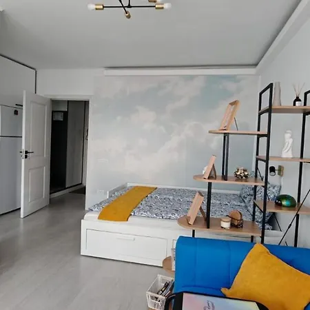 Dumi Sky Studio - Near Iancului Metro & National Arena Apartment *