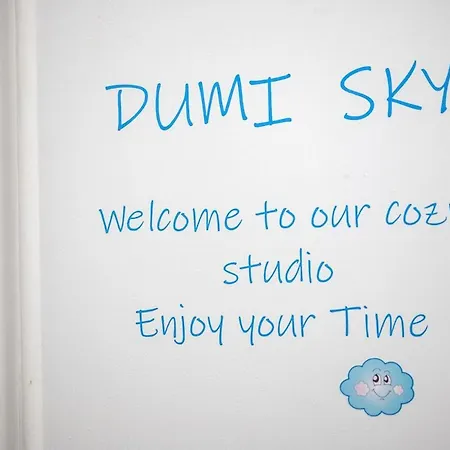 Dumi Sky Studio - Near Iancului Metro & National Arena Apartment