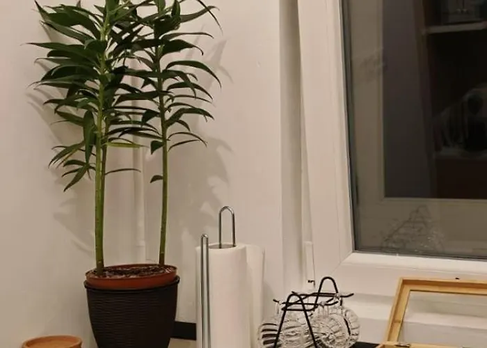 Appartement Dumi Sky *